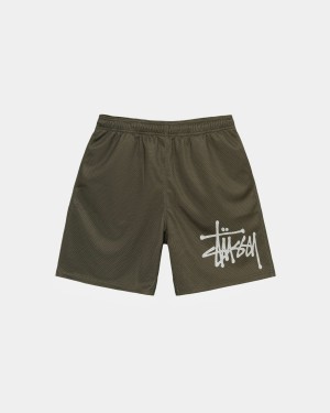 Stussy Mesh Big Basic Shorts Olive | Israel-32564