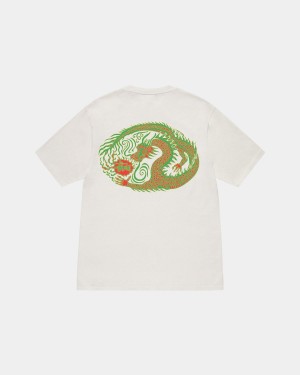 Stussy Mosaic Dragon Tee Pigment Dyed T-Shirt Beige | Israel-26395