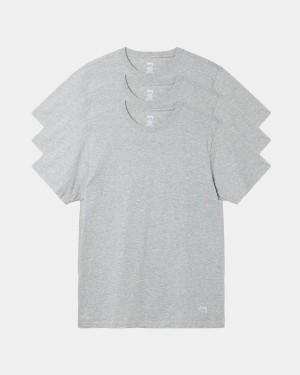 Stussy Undershirts T-Shirt Grey | Israel-93086