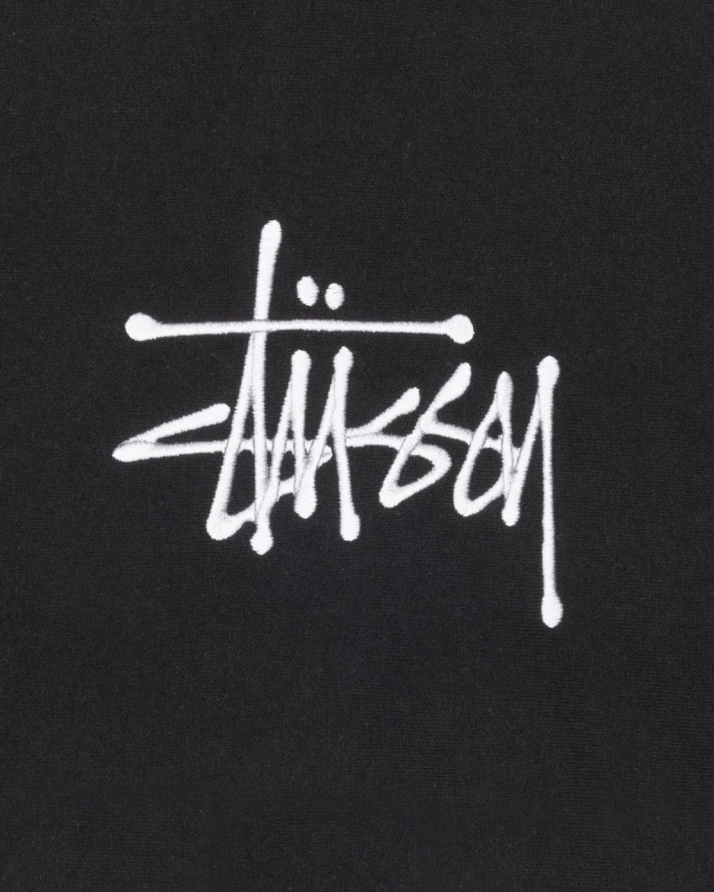 Stussy Basic Applique Hoodie Black | Israel-40359