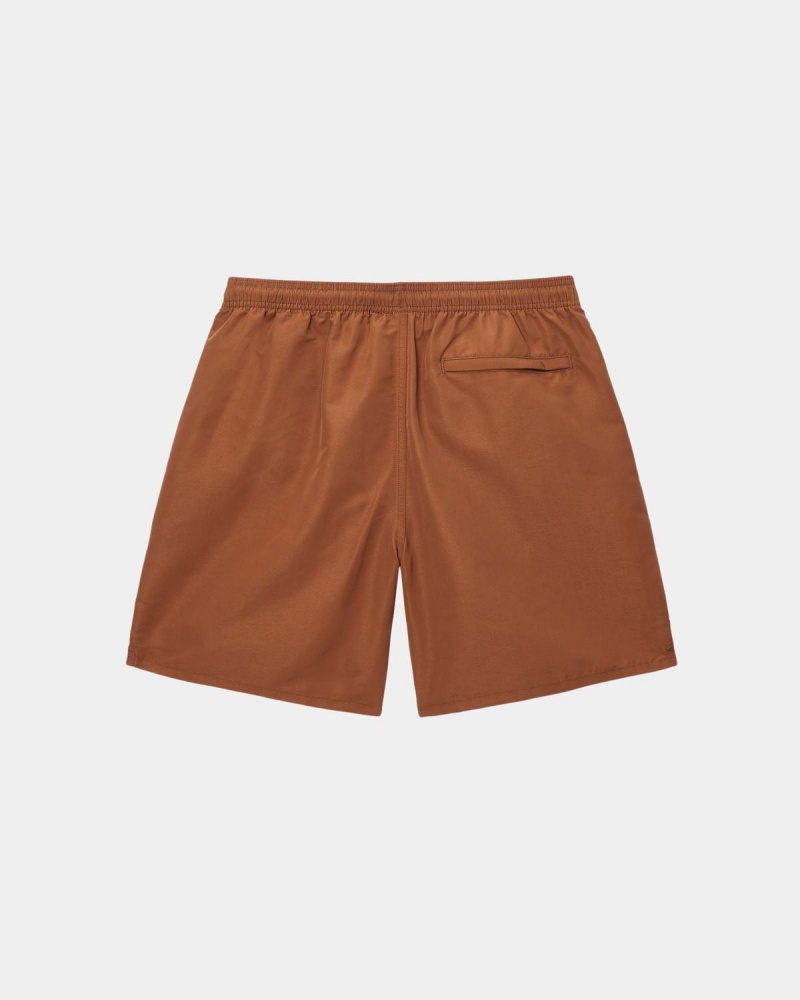 Stussy Big Basic Water Shorts Coffee | Israel-30957