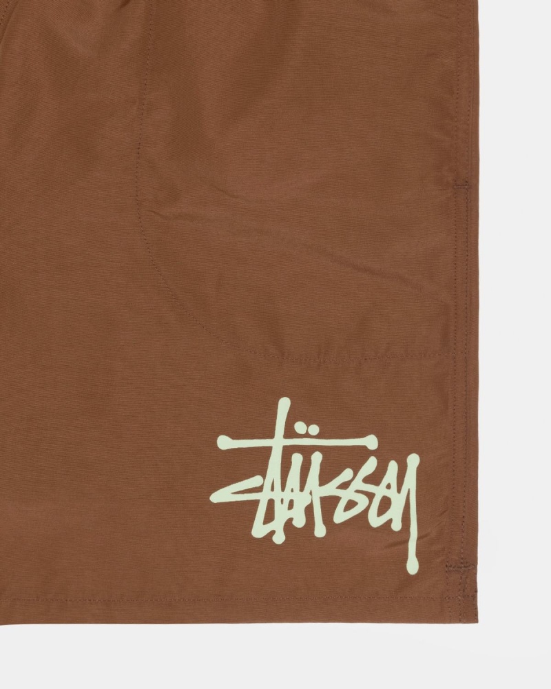 Stussy Big Basic Water Shorts Coffee | Israel-30957