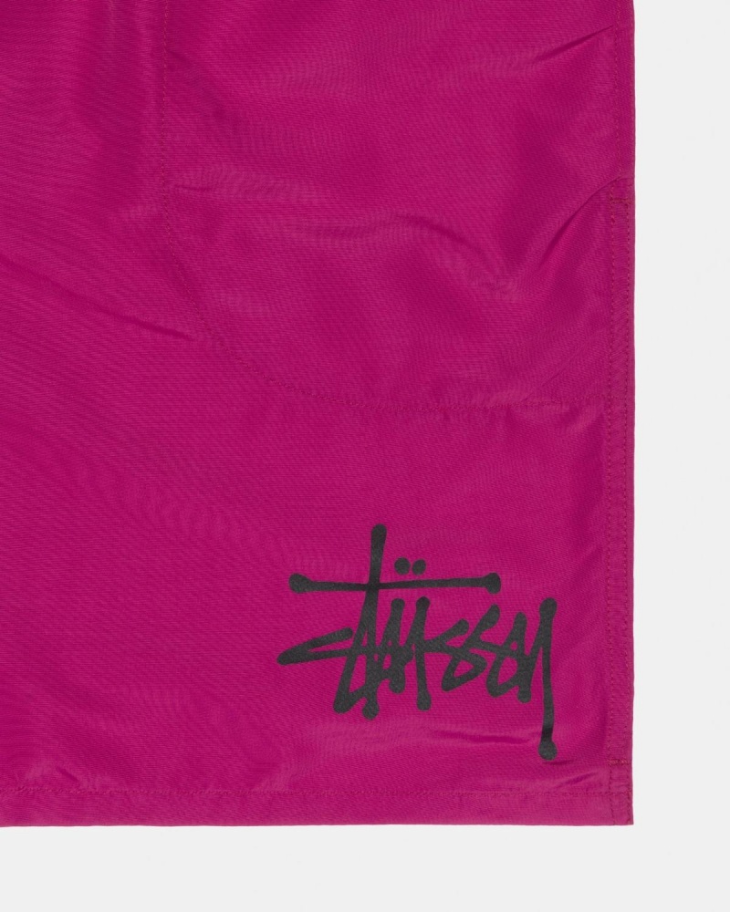 Stussy Big Basic Water Shorts Pink | Israel-56123