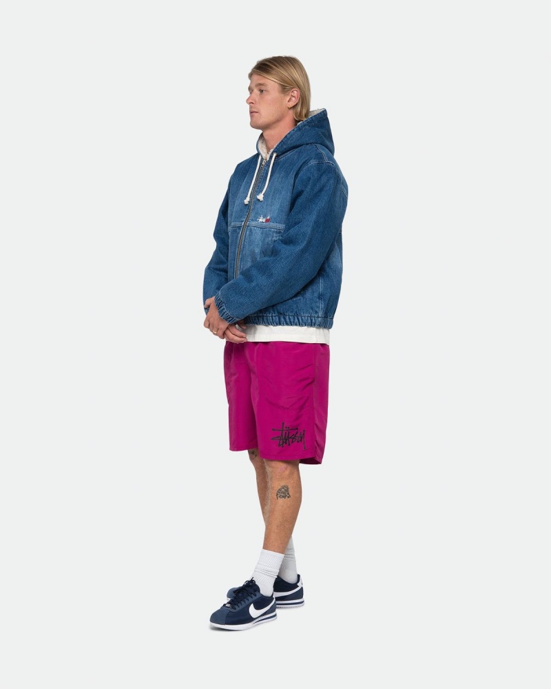 Stussy Big Basic Water Shorts Pink | Israel-56123