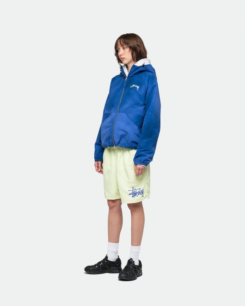 Stussy Big Basic Water Shorts Pistachio | Israel-86502