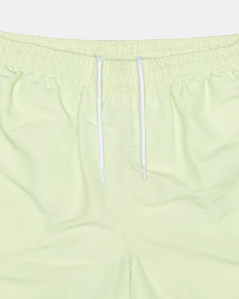 Stussy Big Basic Water Shorts Pistachio | Israel-86502