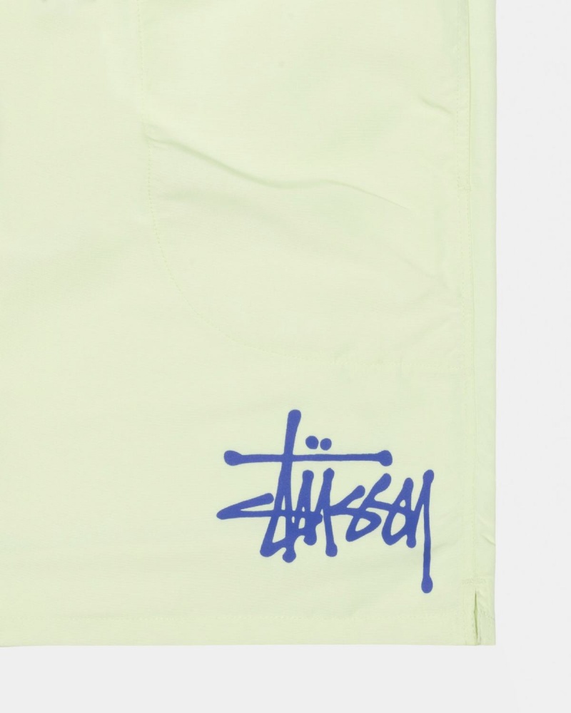 Stussy Big Basic Water Shorts Pistachio | Israel-86502