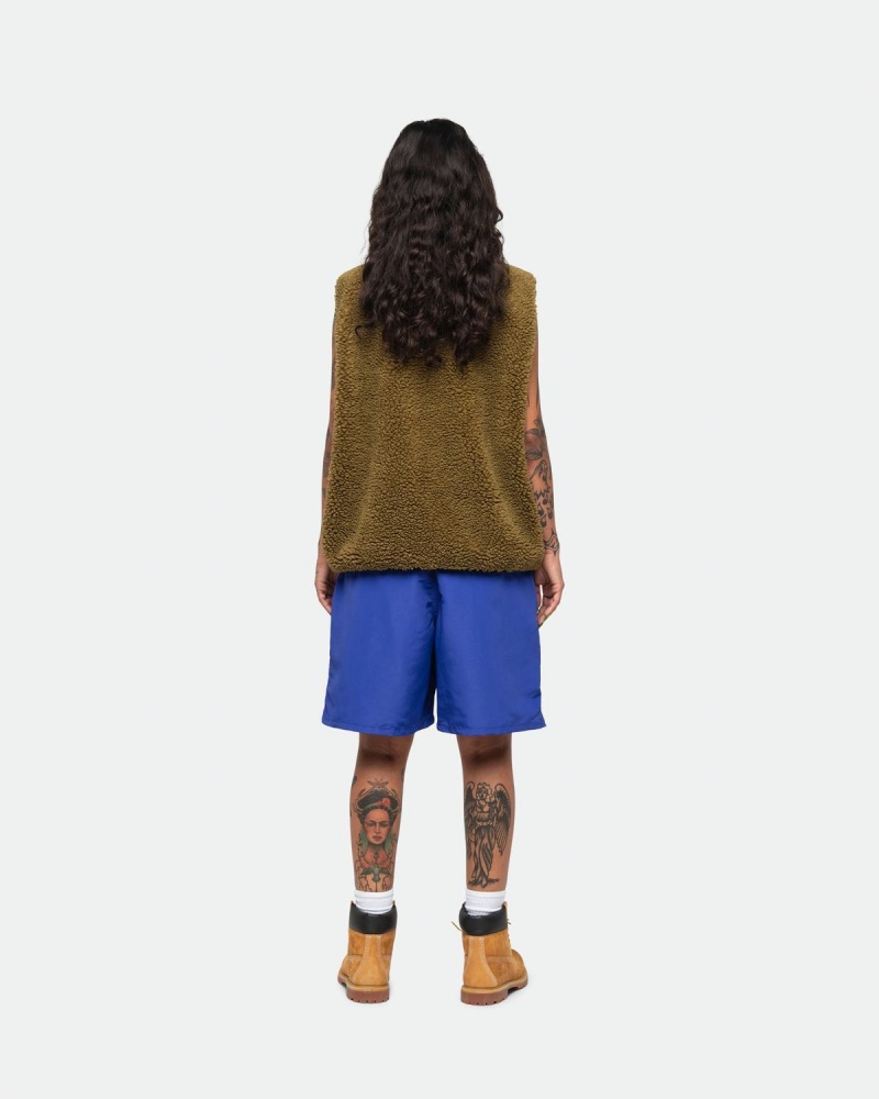 Stussy Big Basic Water Shorts Royal | Israel-16728