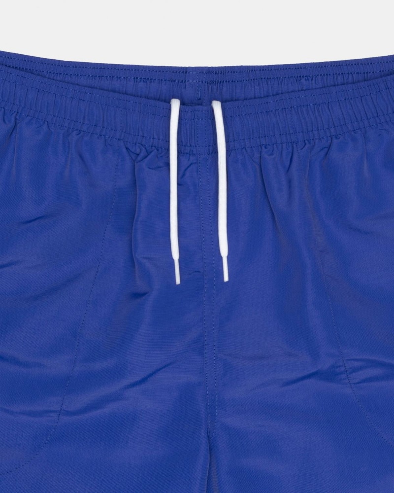 Stussy Big Basic Water Shorts Royal | Israel-16728