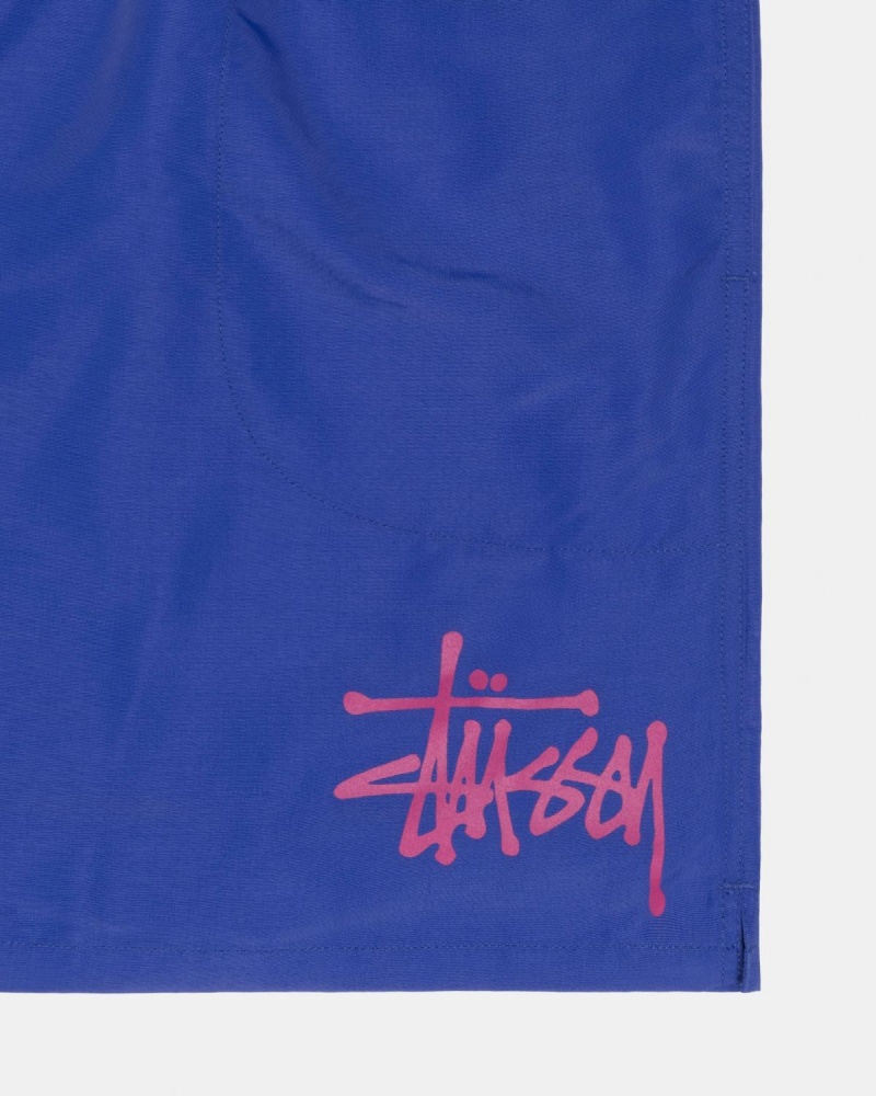 Stussy Big Basic Water Shorts Royal | Israel-16728