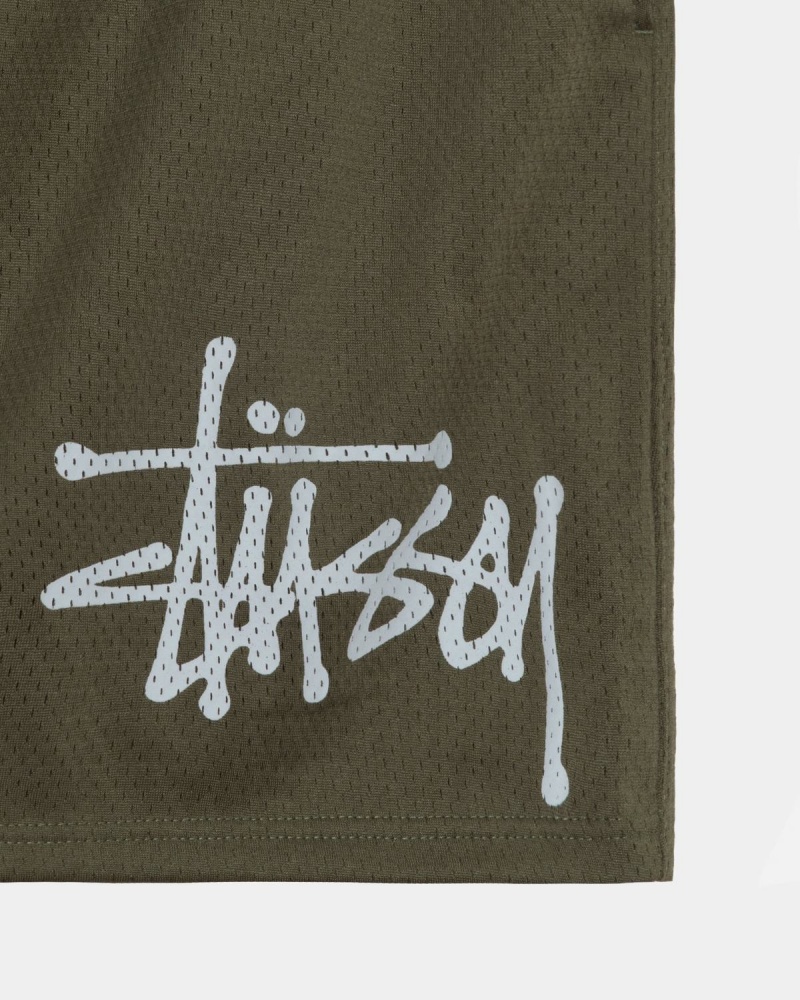 Stussy Mesh Big Basic Shorts Olive | Israel-32564