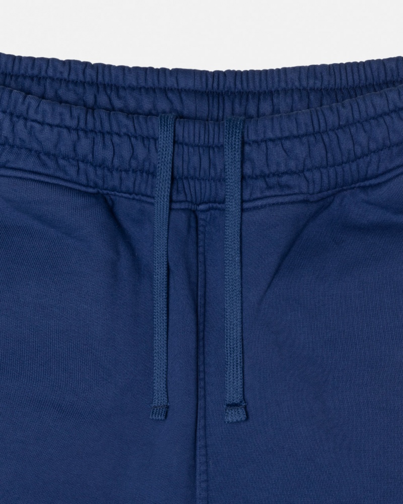 Stussy Sport Cargo Fleece Pants Blue | Israel-39586