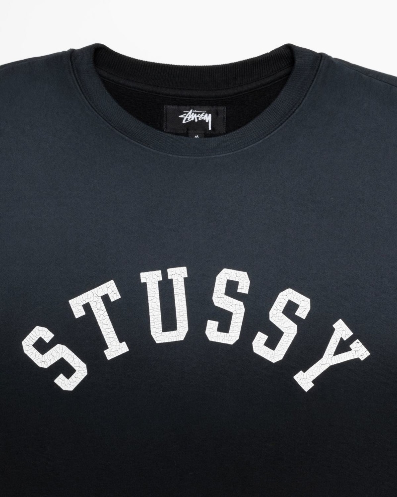 Stussy Sun Faded Oversized Crew Sweatshirt Black | Israel-06892